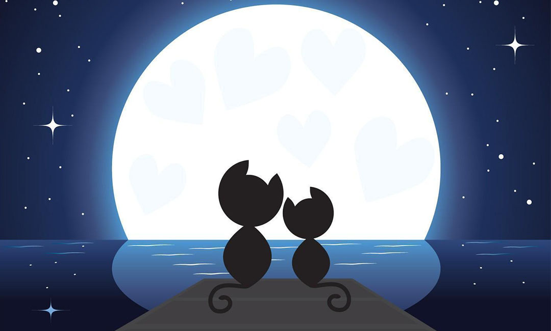 迪庆潮客汇微信活动策划案例